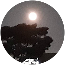 Daijyu “. profile picture